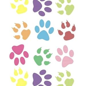 Meet your Posher, Coco